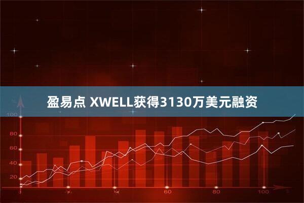 盈易点 XWELL获得3130万美元融资