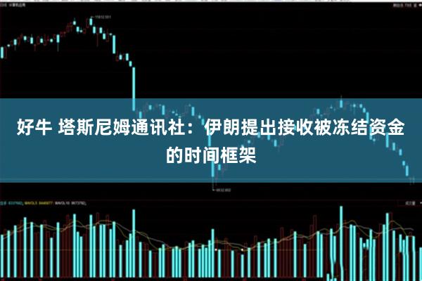 好牛 塔斯尼姆通讯社：伊朗提出接收被冻结资金的时间框架