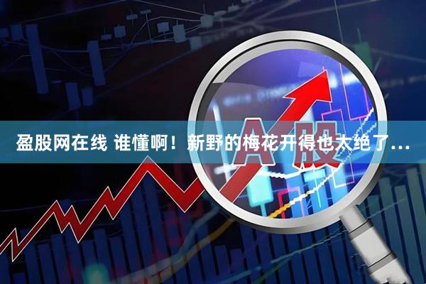 盈股网在线 谁懂啊！新野的梅花开得也太绝了…
