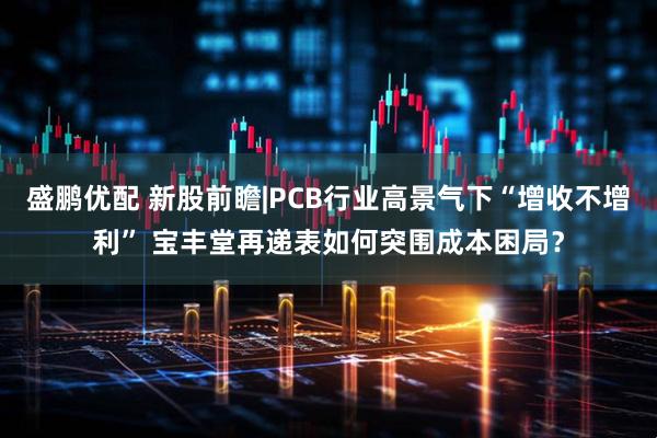 盛鹏优配 新股前瞻|PCB行业高景气下“增收不增利” 宝丰堂再递表如何突围成本困局？