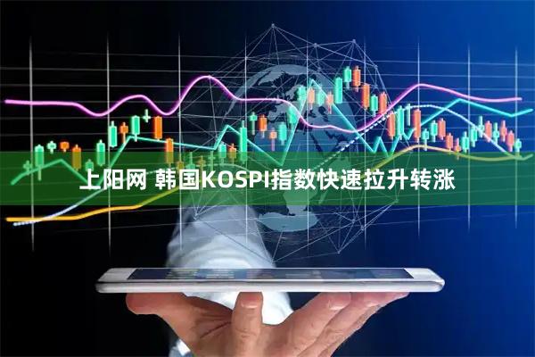 上阳网 韩国KOSPI指数快速拉升转涨